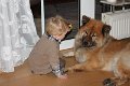 boji und thies (2)